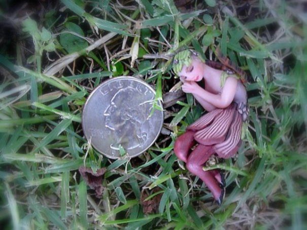 Shhhhhh...sleeping Fairies Ahead Shhhhhh...sleeping Fairies Ahead