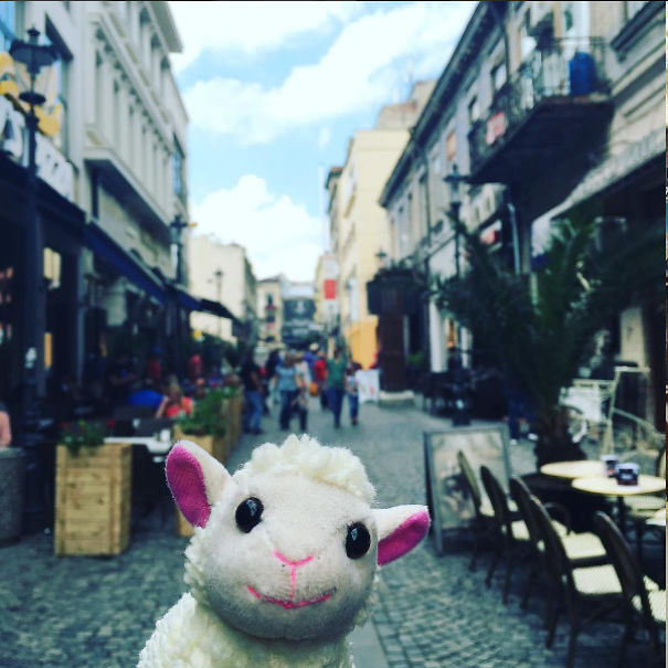 Felip The Sheep Presents You Bucharest City