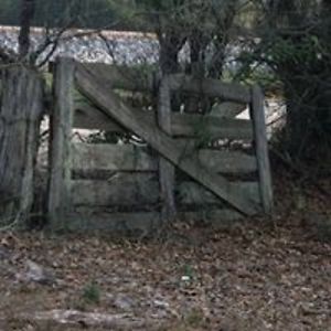 georgiapeaches62 avatar