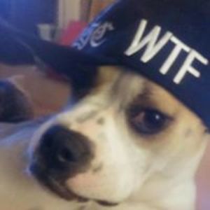 rebekahkaufmann avatar