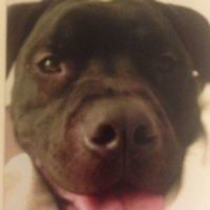 clairebear12399 avatar