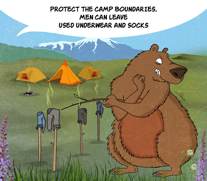 10 Facts You Need To Know About Bears