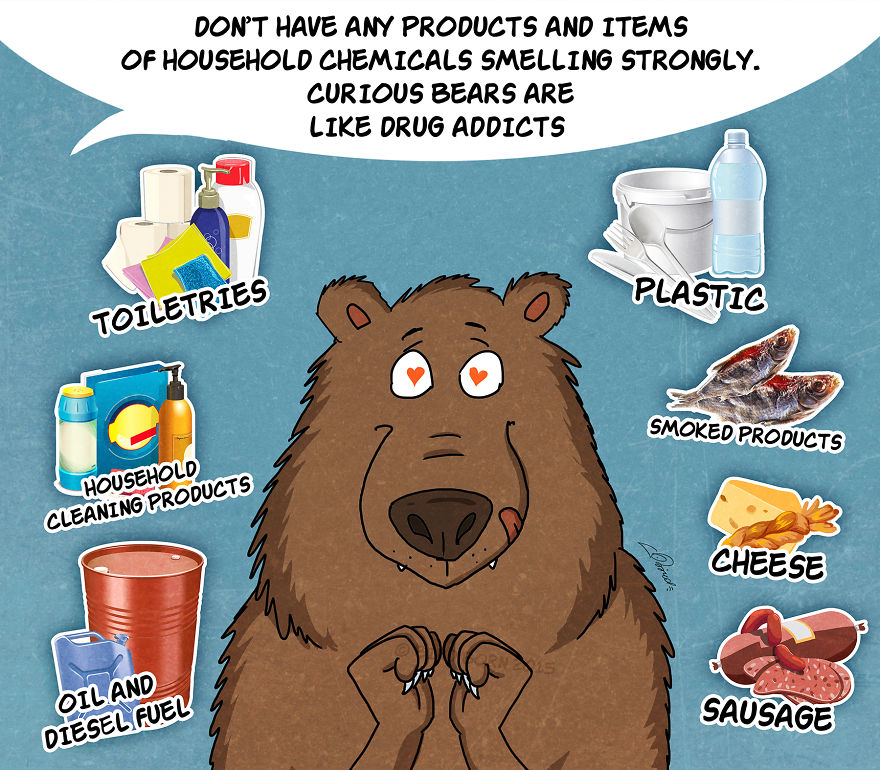 10 Facts You Need To Know About Bears