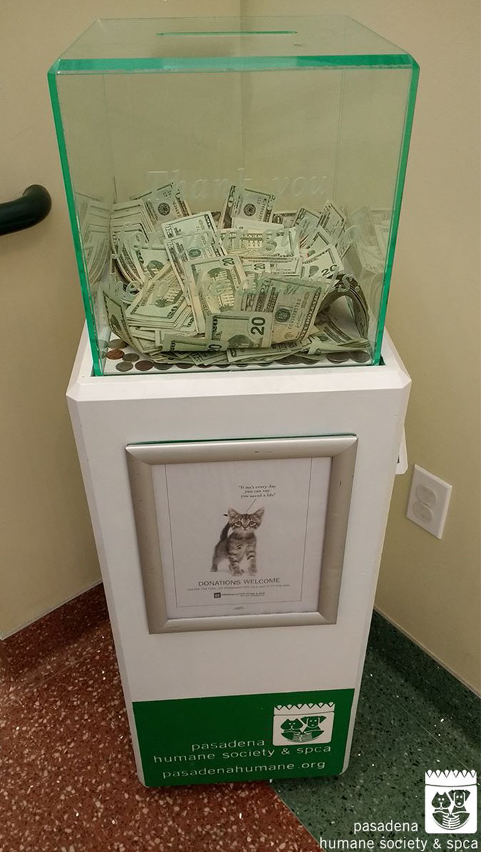 Anonymous Person Just Put $8,000 into This Animal Shelter's Donation Box