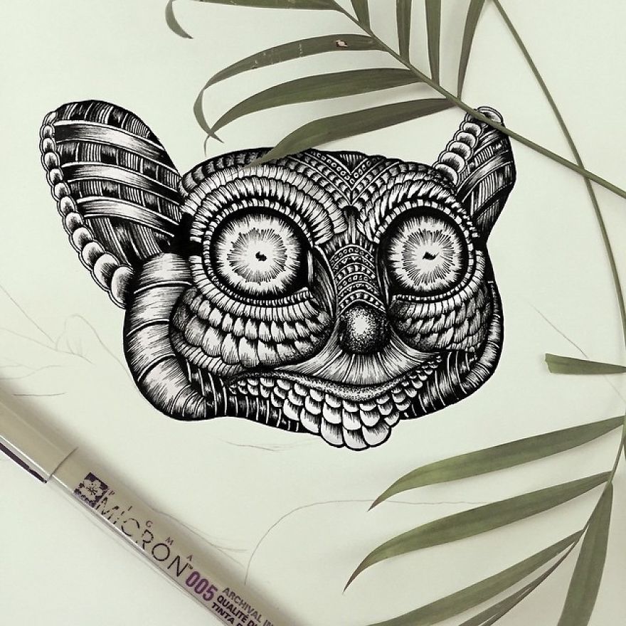 Artist Uses The Zentangle Style To Detail Animal Drawings Artist Uses The Zentangle Style To Detail Animal Drawings
