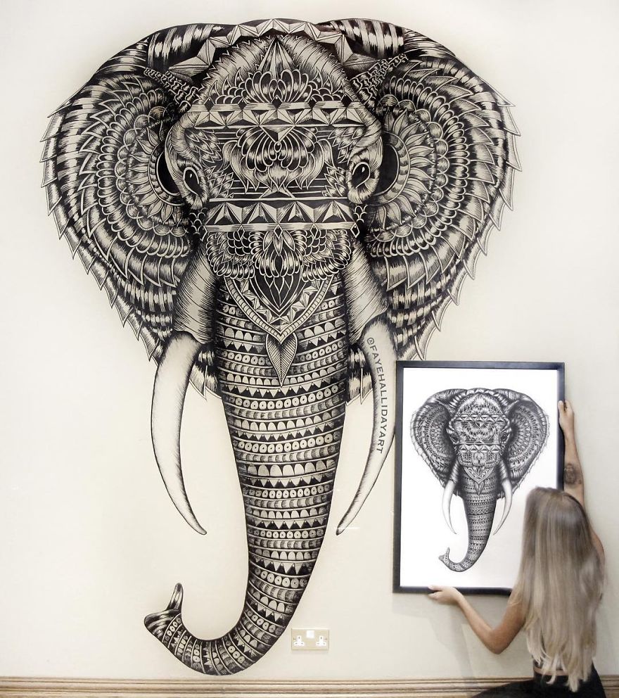 Artist Uses The Zentangle Style To Detail Animal Drawings Artist Uses The Zentangle Style To Detail Animal Drawings