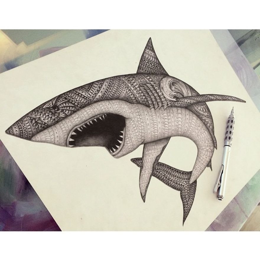 Artist Uses The Zentangle Style To Detail Animal Drawings Artist Uses The Zentangle Style To Detail Animal Drawings