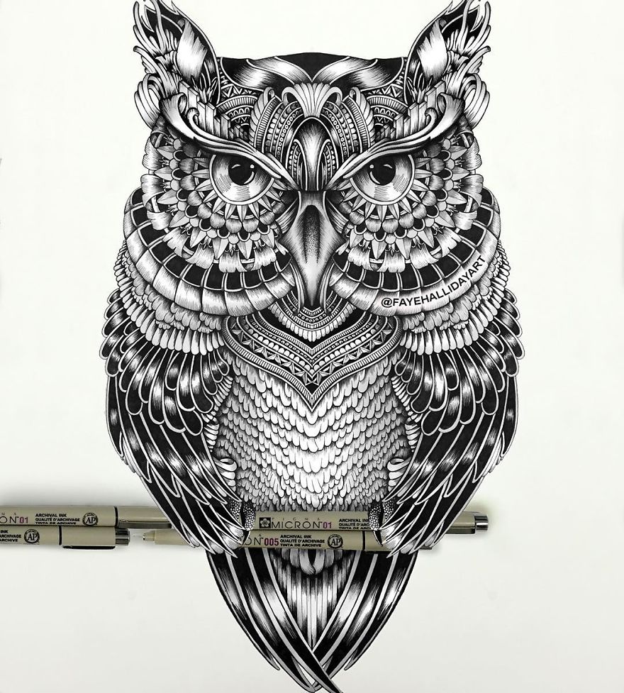 Artist Uses The Zentangle Style To Detail Animal Drawings Artist Uses The Zentangle Style To Detail Animal Drawings