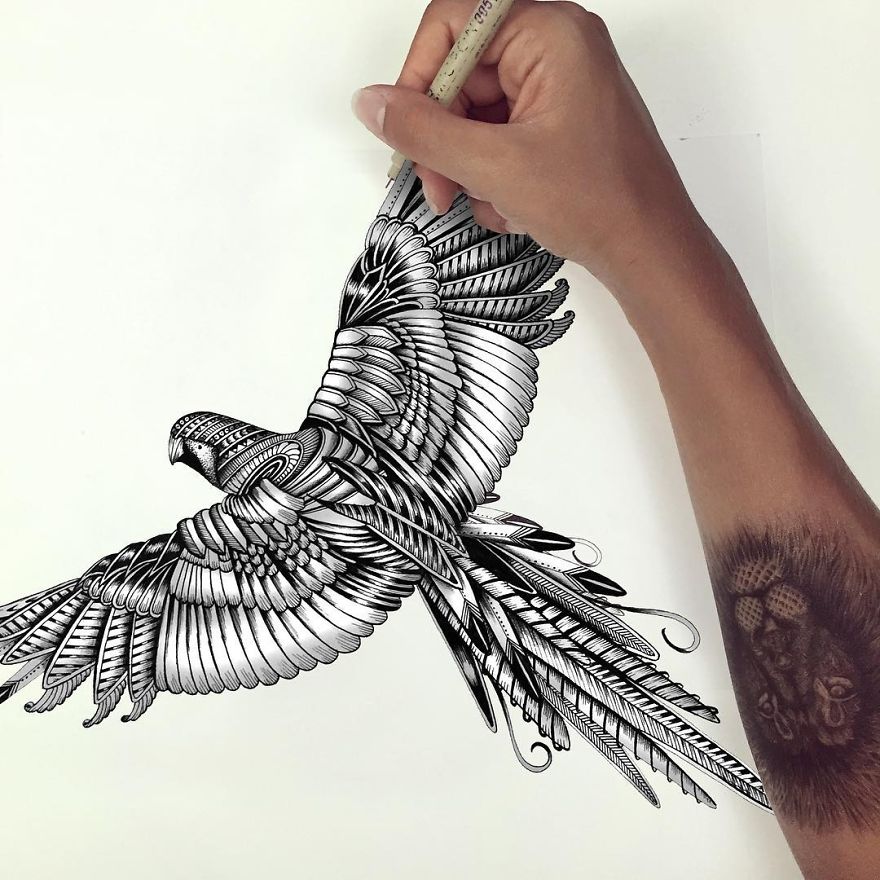 Artist Uses The Zentangle Style To Detail Animal Drawings Artist Uses The Zentangle Style To Detail Animal Drawings