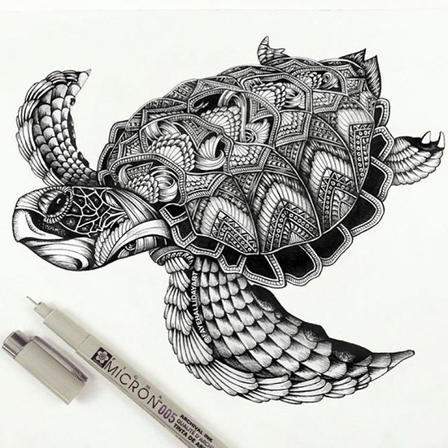 Artist Uses The Zentangle Style To Detail Animal Drawings Artist Uses The Zentangle Style To Detail Animal Drawings