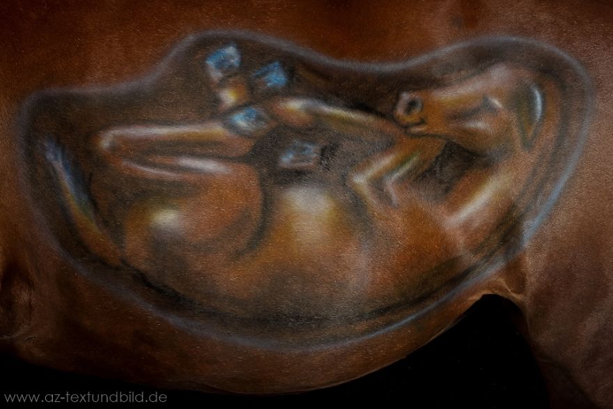 Babybelly Painting For My Horse