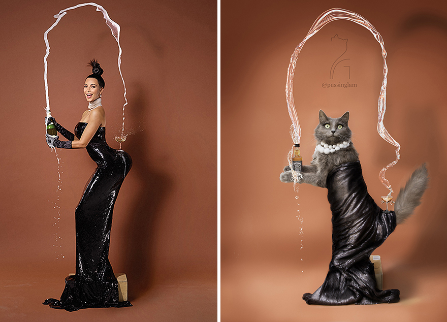 I Recreated An Iconic Picture Of Kim Kardashian With My Cat