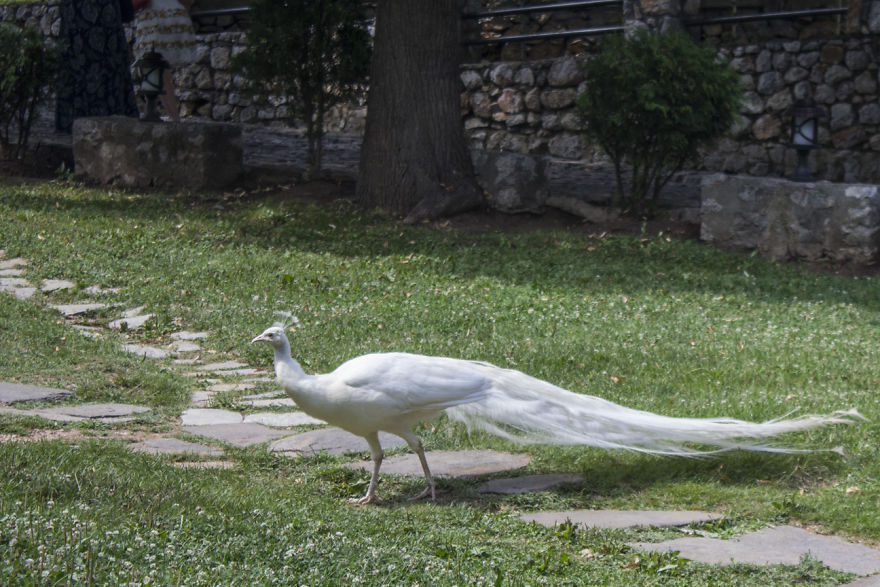 Cycling From Albania To Macedonia To Find The Clearest Spring Water