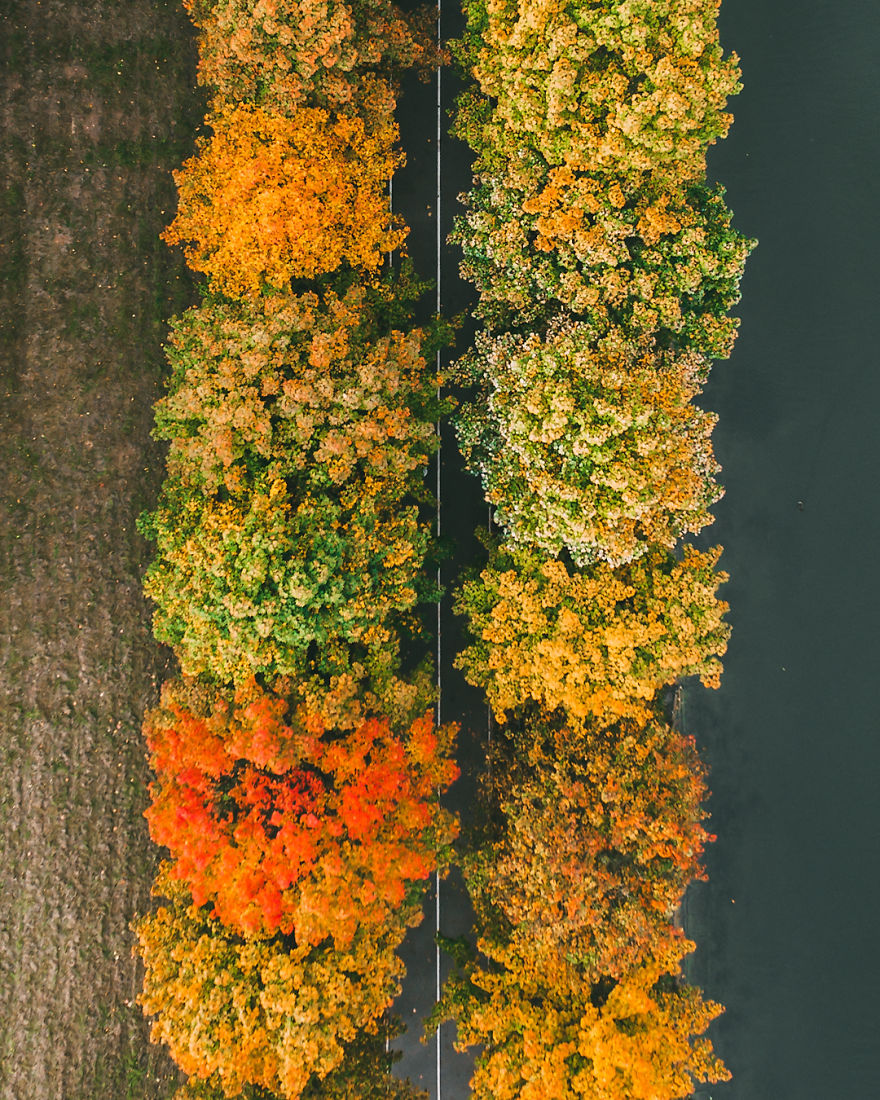I Captured The Beauty Of Autumn In Belarus
