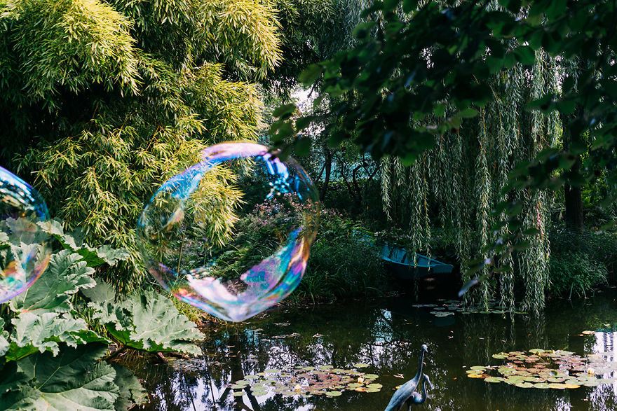 My Soap Bubble Studies My Soap Bubble Studies