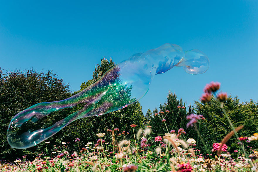 My Soap Bubble Studies My Soap Bubble Studies