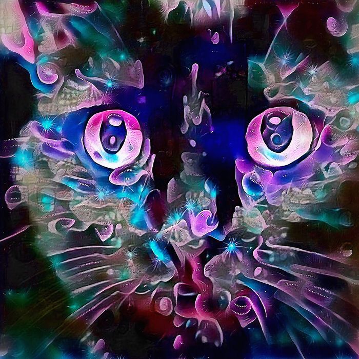 Explore The Dreams Of Cats With Electric Catnip