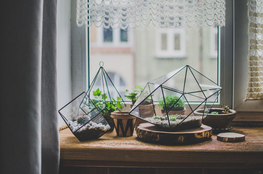 Our Stylish Geometric Terrariums Are A Perfect Home For Succulents