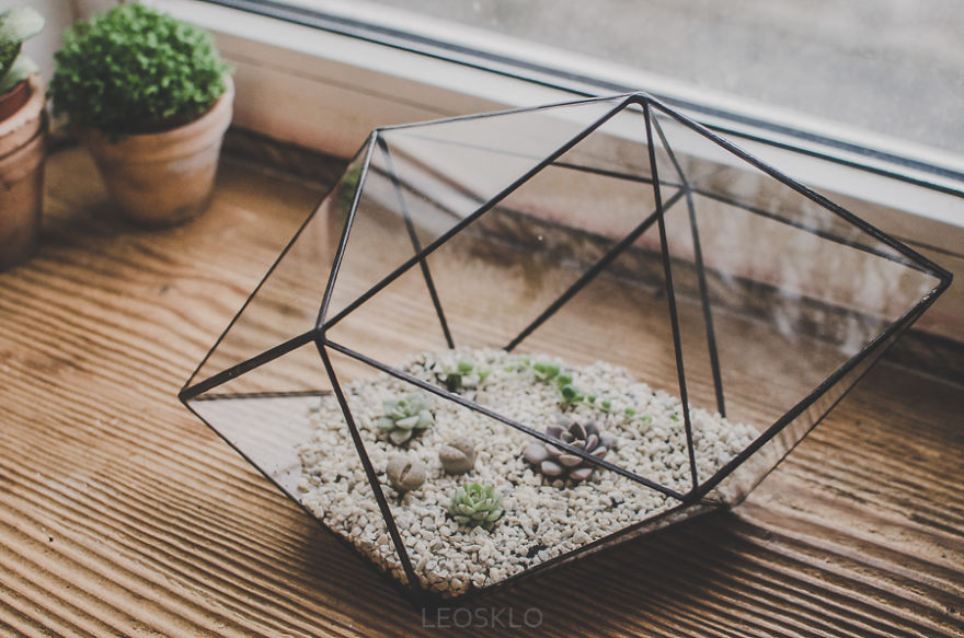 Our Stylish Geometric Terrariums Are A Perfect Home For Succulents