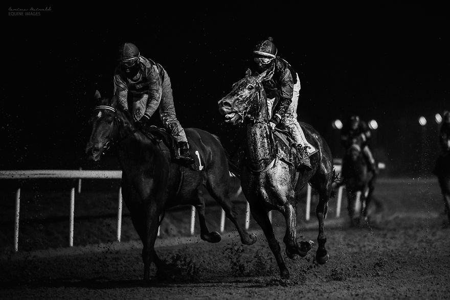 I Capture Horse Races With All Their Light And Dark Sides