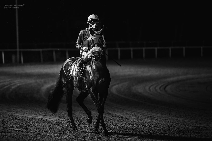 I Capture Horse Races With All Their Light And Dark Sides