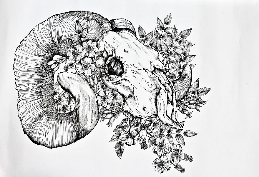 I Merge Animals And Plants Into One Drawing
