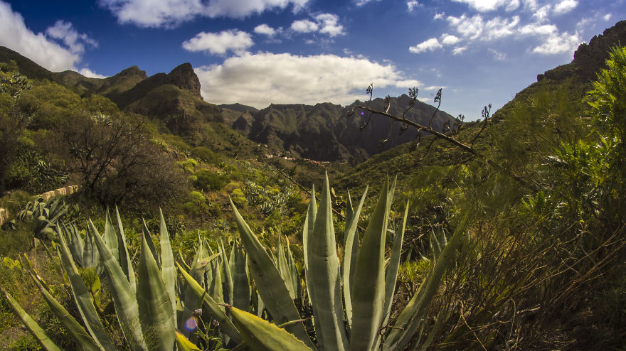 I Went On A 3-Month-Long Solo Adventure In Tenerife
