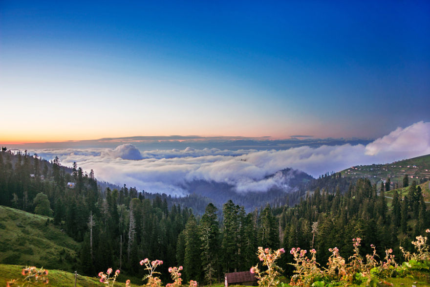 The Most Beautifuli Mountain Resort Area In Georgia. Bakhmaro