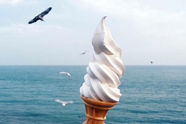 Cheeky Seagull Swoops To Swipe Student's Ice-Cream