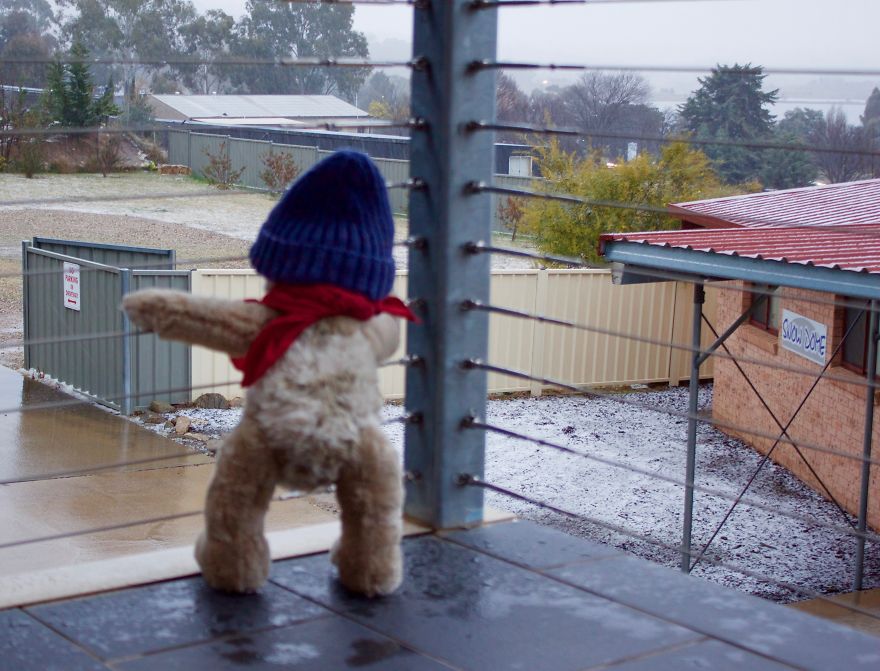 Ted Goes To Jindabyne