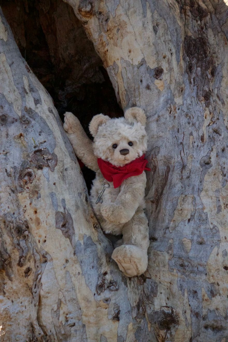 Ted Goes To Jindabyne