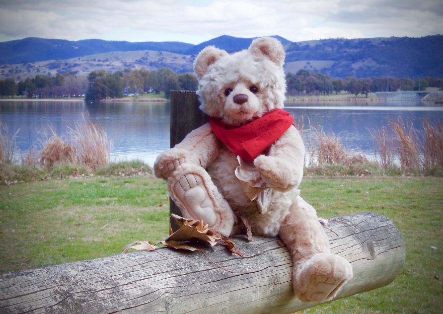 Ted Goes To Jindabyne