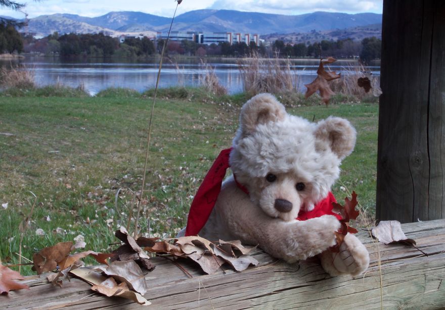 Ted Goes To Jindabyne