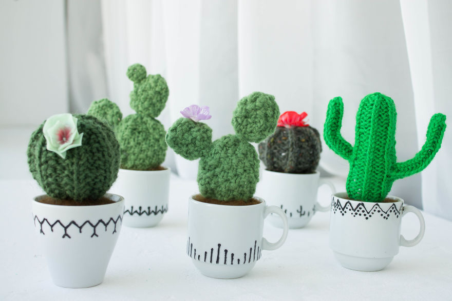 We Wanted To Change Your Opinion About Cactuses So We Made Them Pleasant To Touch