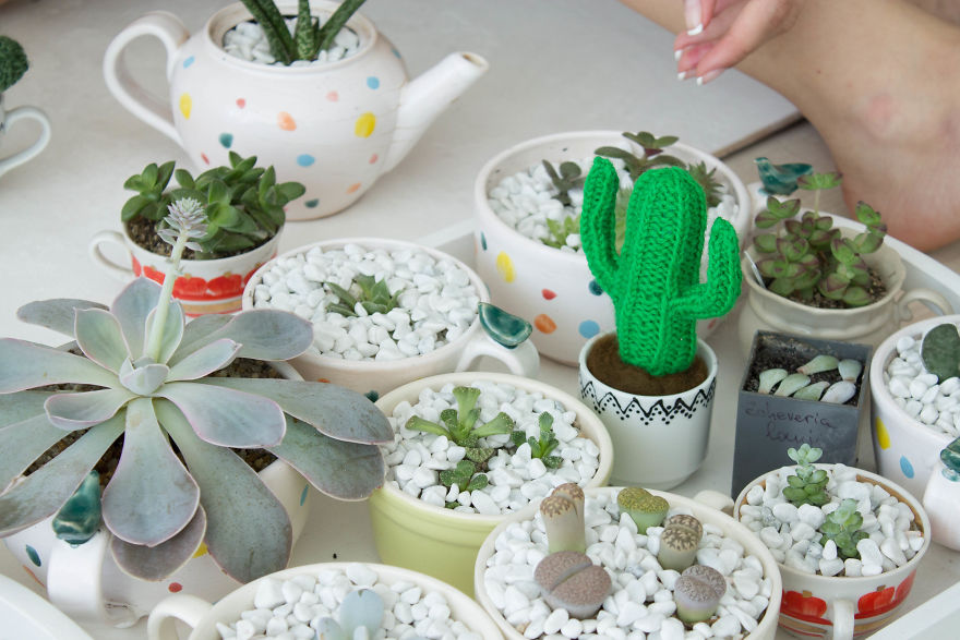 We Wanted To Change Your Opinion About Cactuses So We Made Them Pleasant To Touch