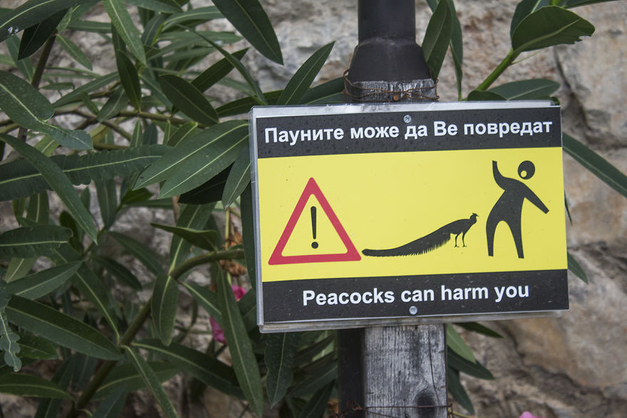 Cycling From Albania To Macedonia To Find The Clearest Spring Water