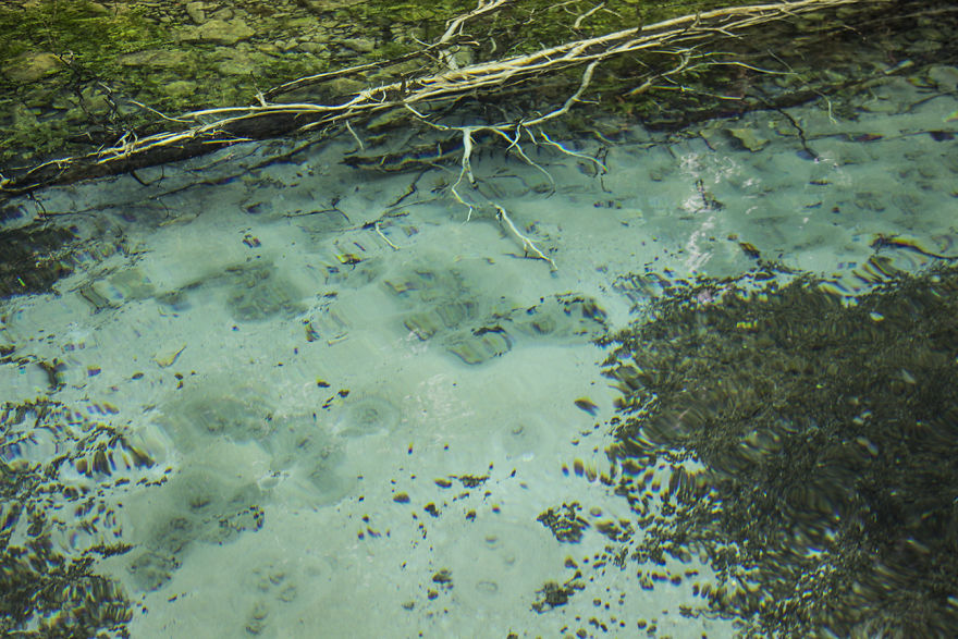 Cycling From Albania To Macedonia To Find The Clearest Spring Water