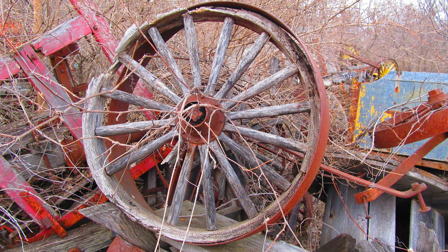 Walking In The Circus Wagon Graveyard