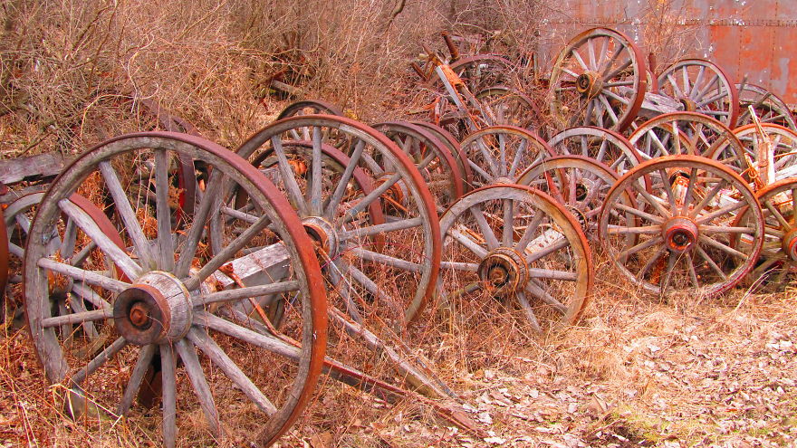 Walking In The Circus Wagon Graveyard