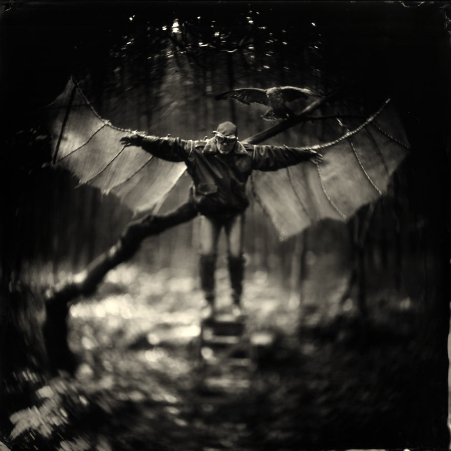 Fly Away Far Away