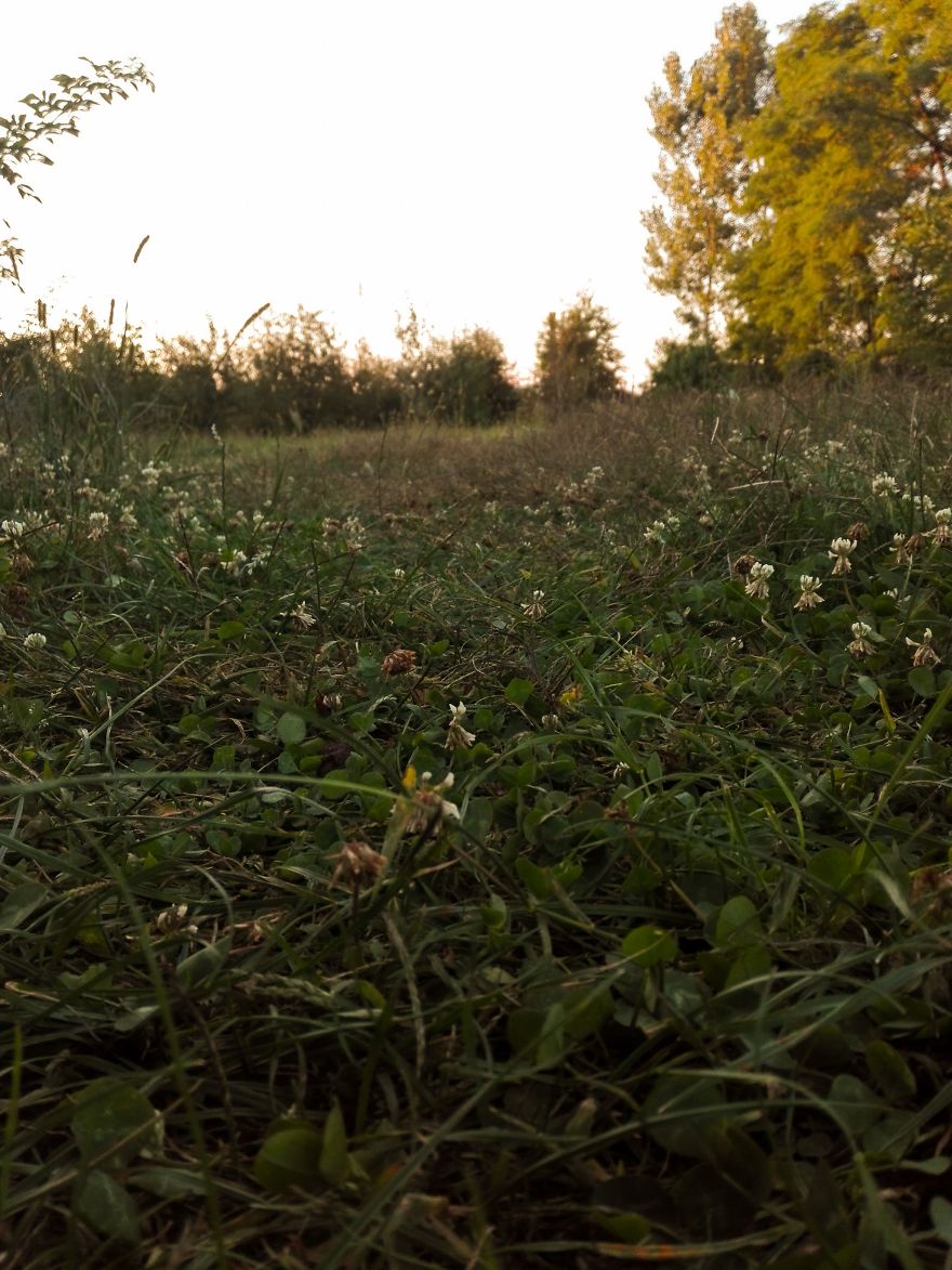 I Spent A Few Wonderful Days At Home