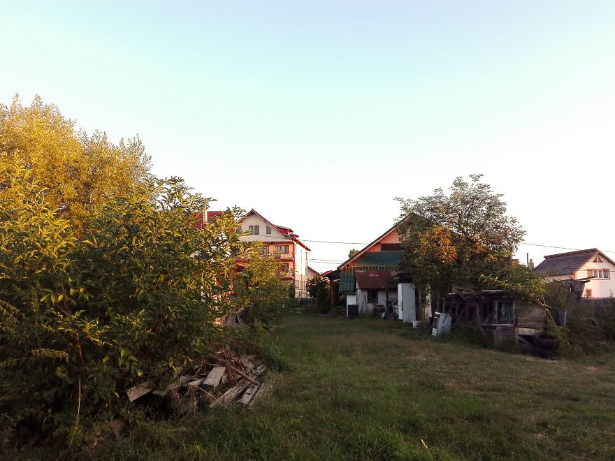 I Spent A Few Wonderful Days At Home