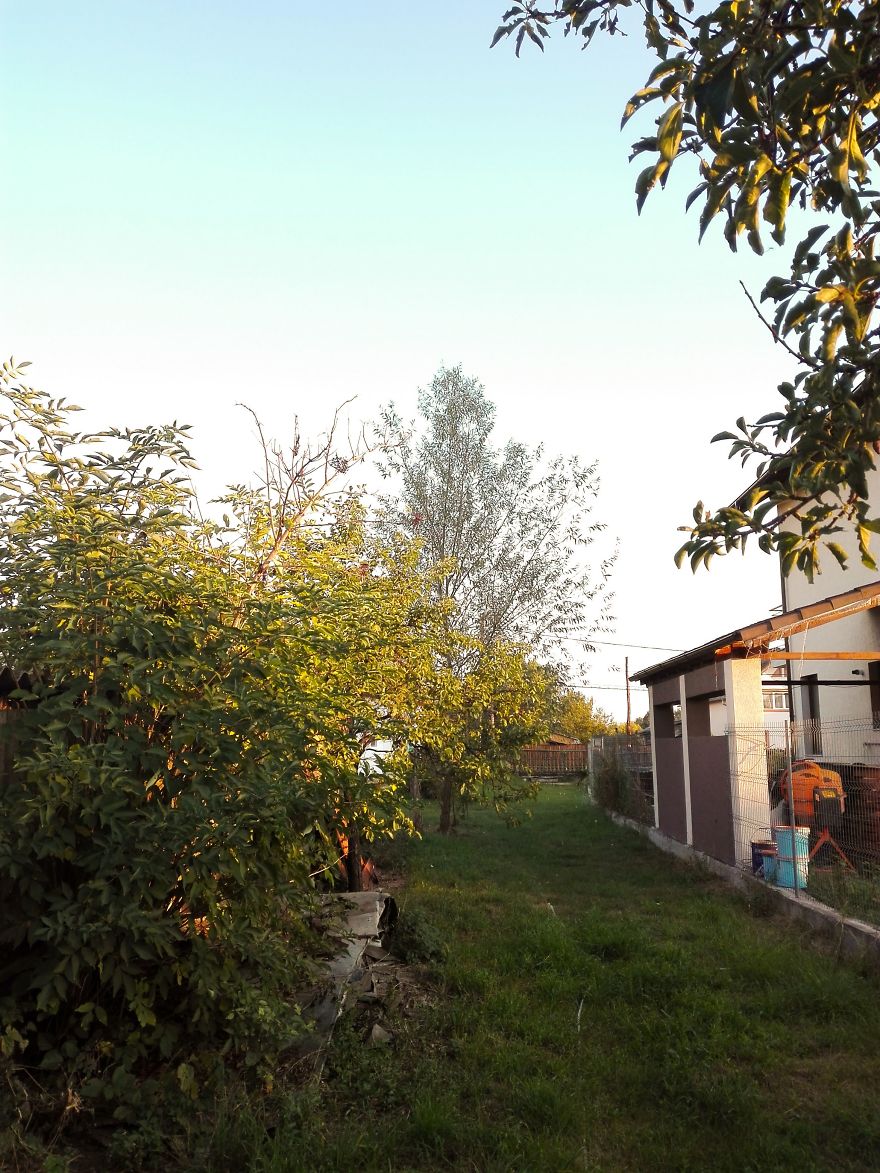 I Spent A Few Wonderful Days At Home