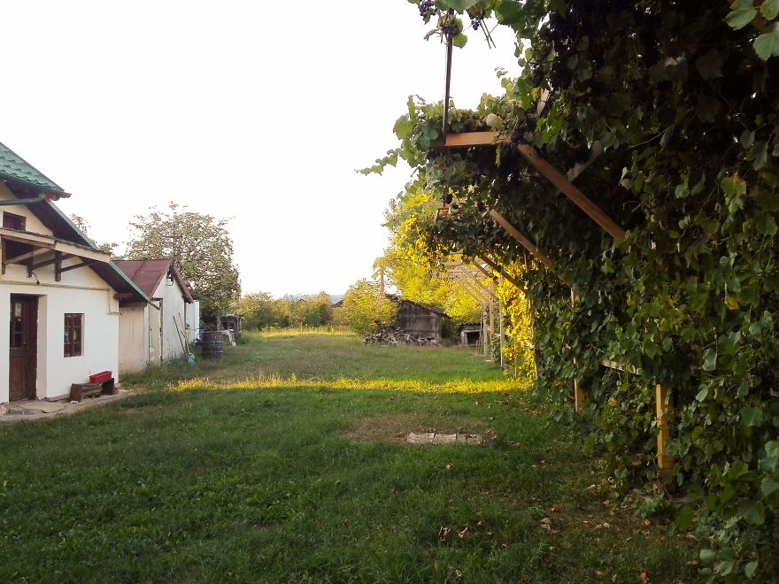 I Spent A Few Wonderful Days At Home