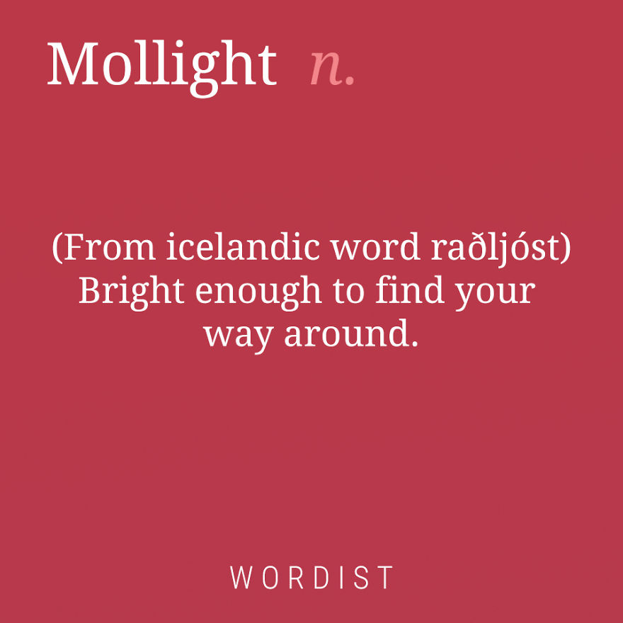 Mollight