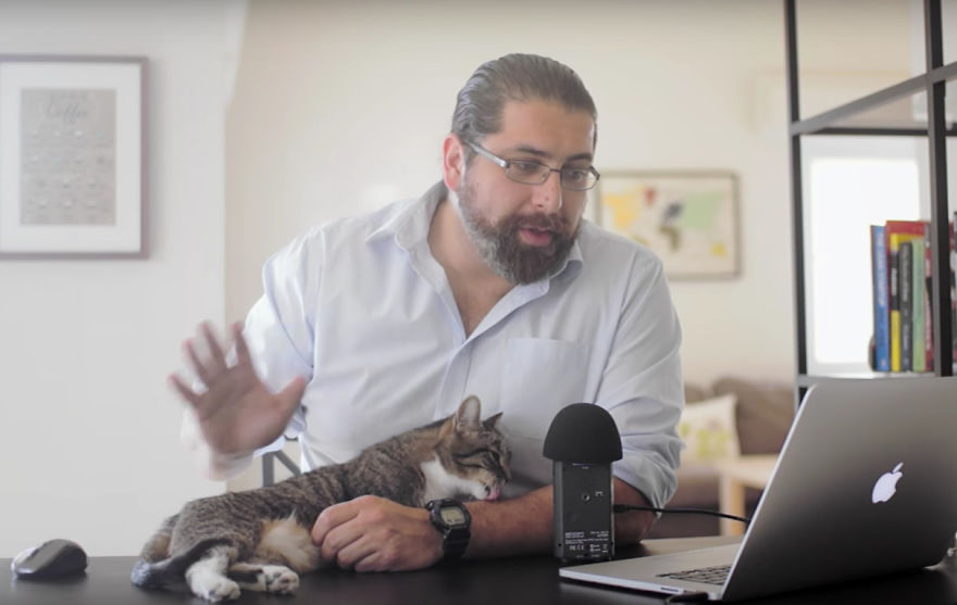 Shrimp, My Cat, Decided To Join While I Was Trying To Create An Educational Video Shrimp, My Cat, Decided To Join While I Was Trying To Create An Educational Video