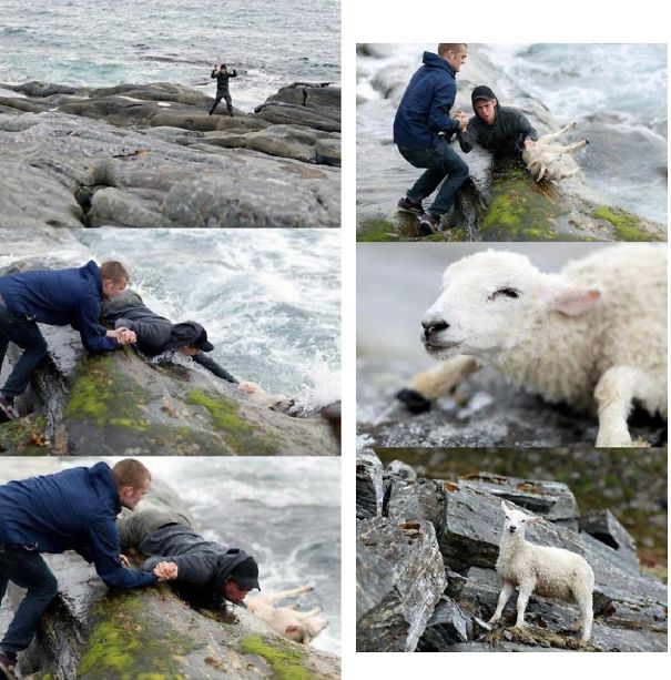 People Proving Her Love For Animals People Proving Her Love For Animals