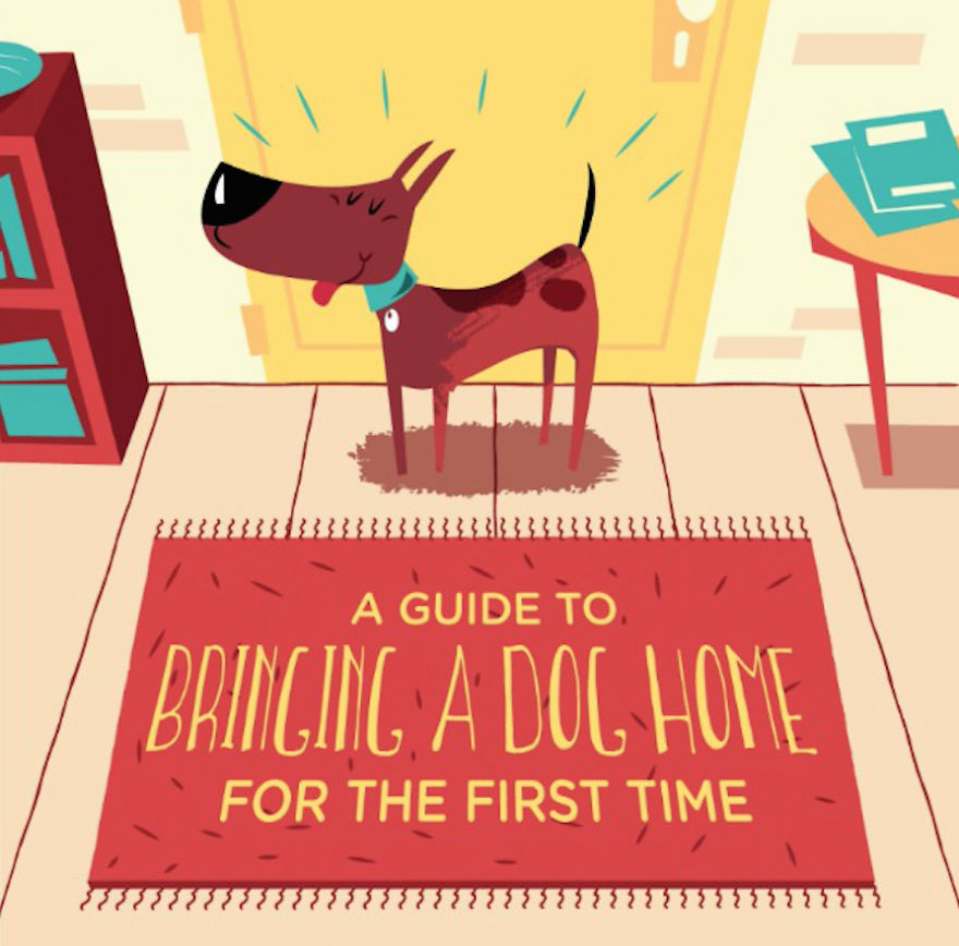 17 Tips For Bringing A Dog Home For The First Time