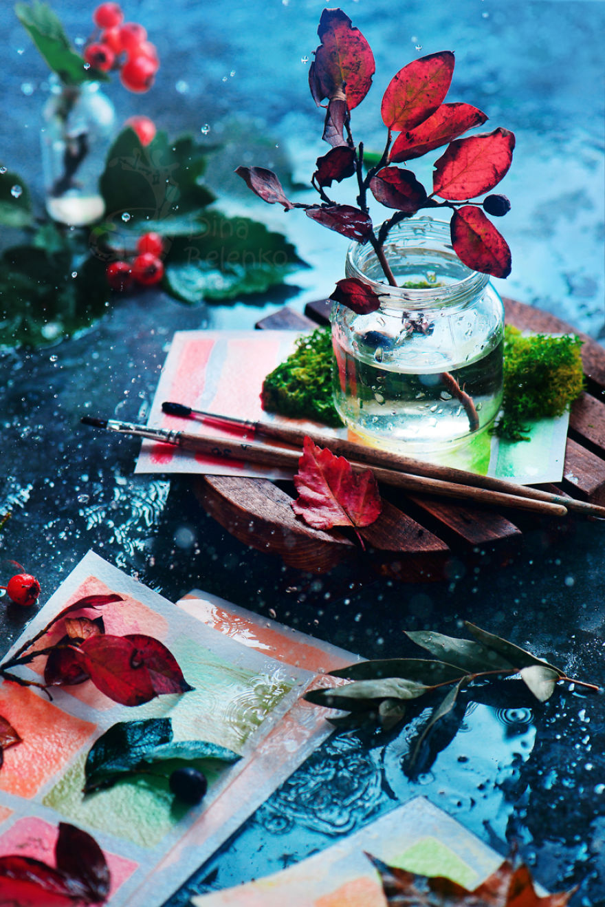 Making Something Beautiful Out Of Rainy Days With Still Life Photography