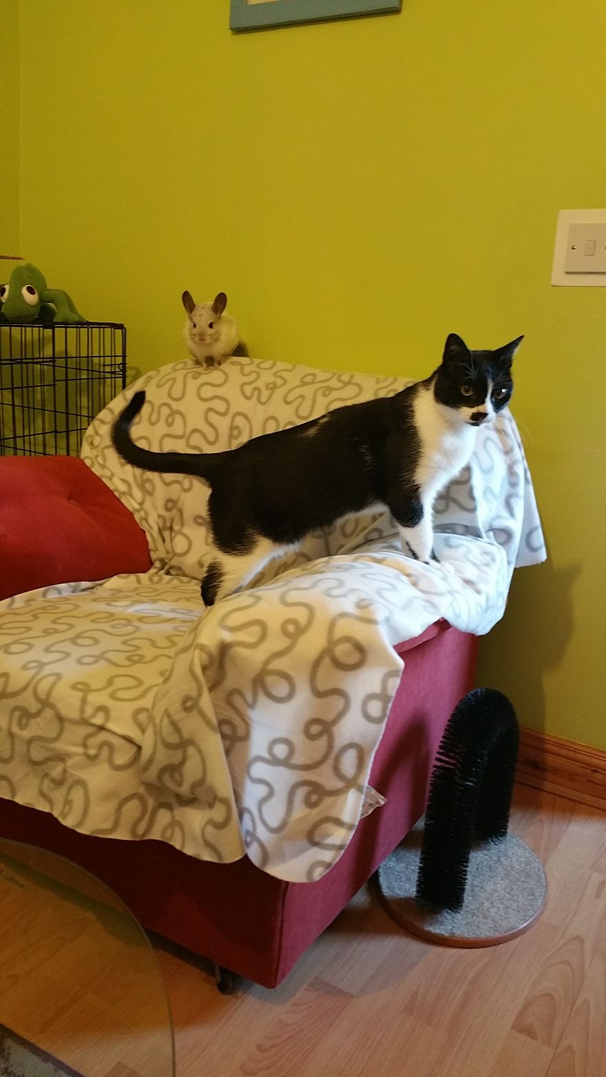 Great Friends - Sz&ouml;rcsi And Lufi